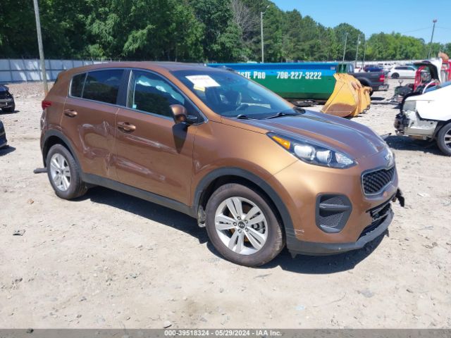 KIA SPORTAGE 2019 kndpm3ac5k7627865