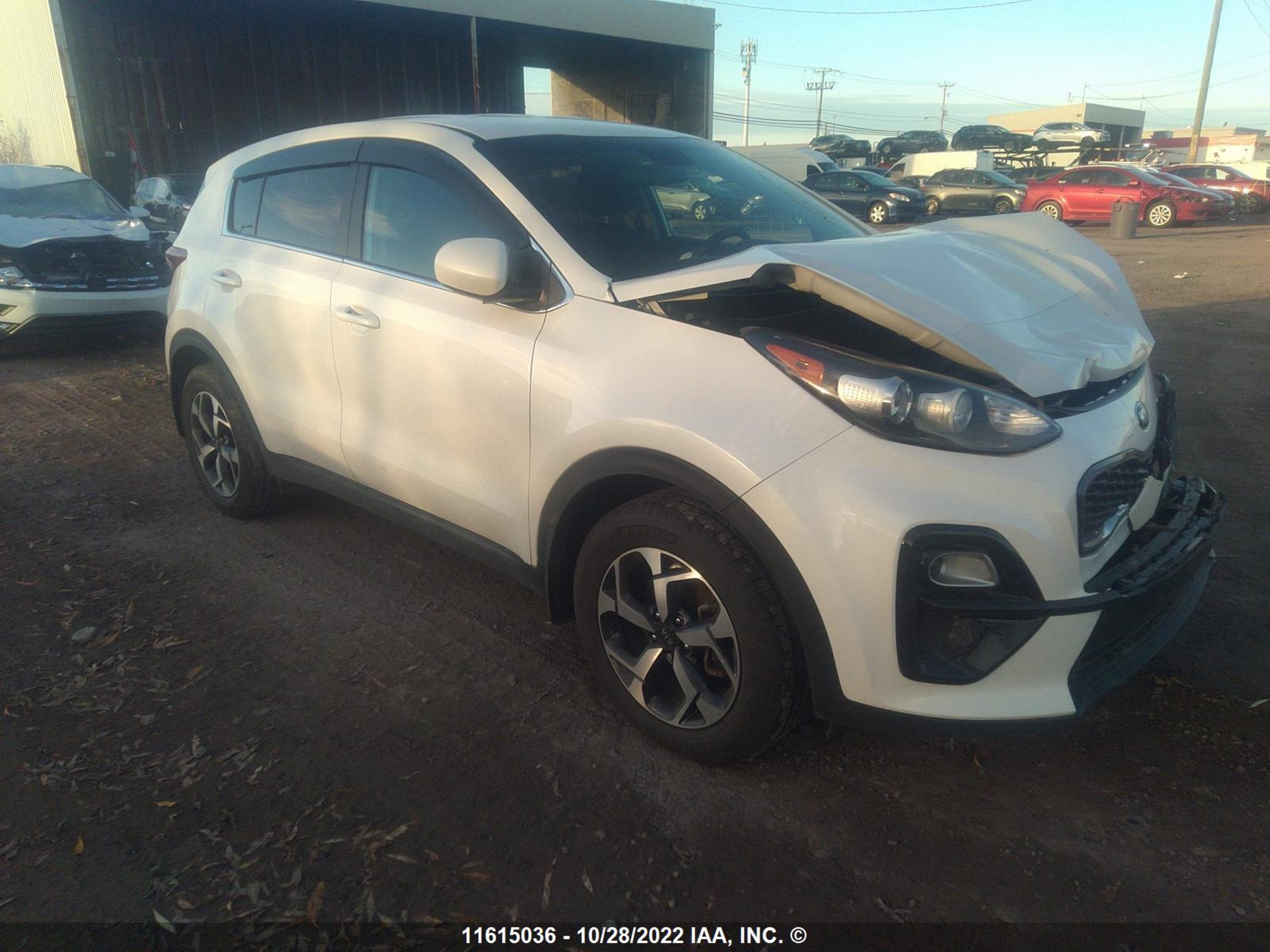 KIA SPORTAGE 2020 kndpm3ac5l7672855