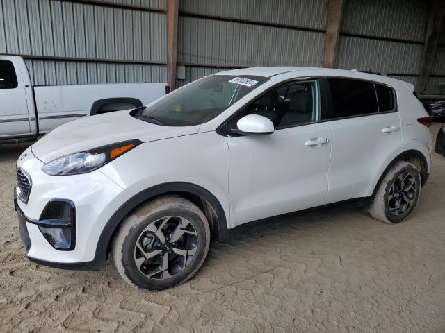 KIA SPORTAGE 2022 kndpm3ac5n7957817