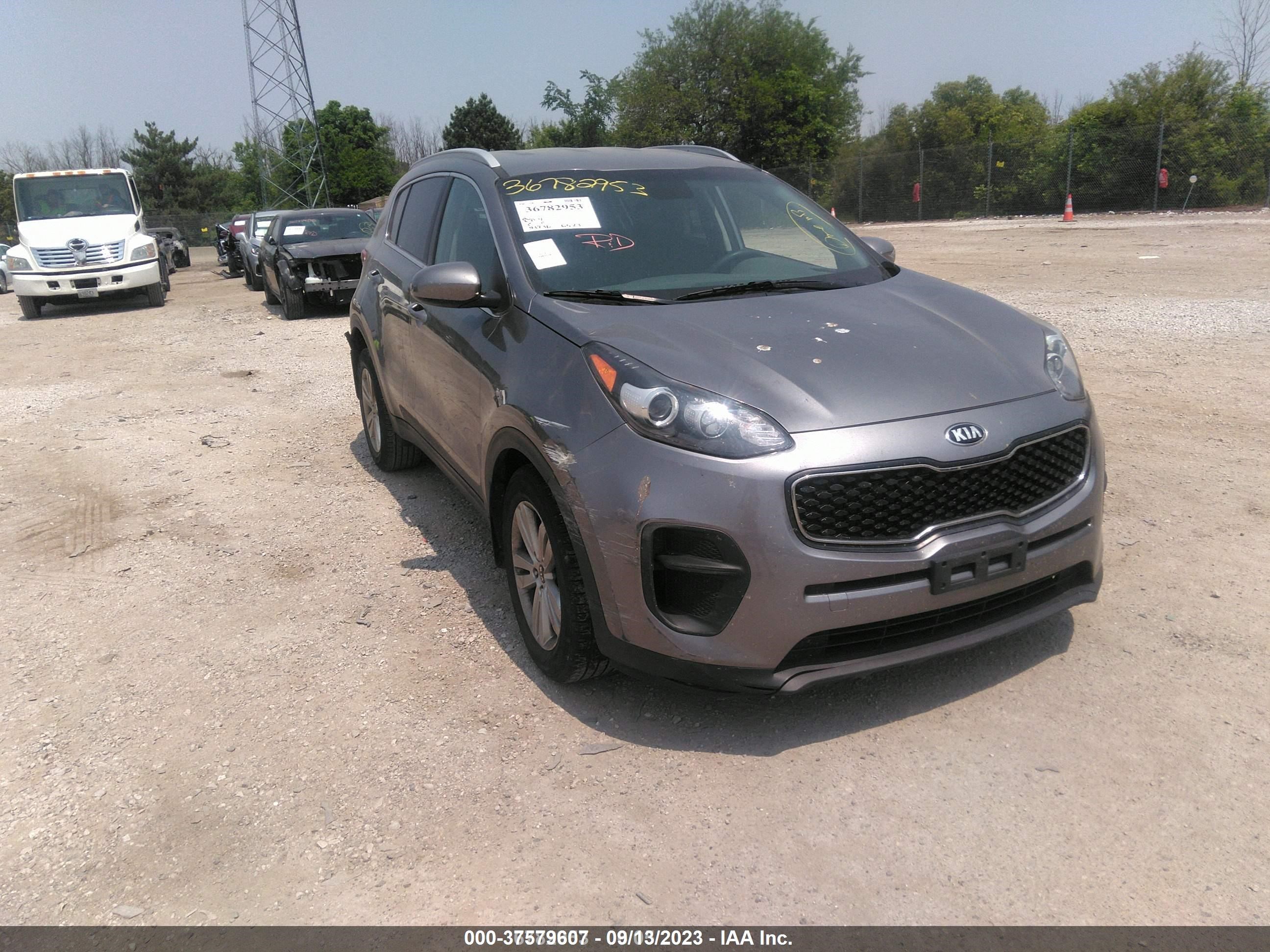 KIA SPORTAGE 2017 kndpm3ac6h7119848