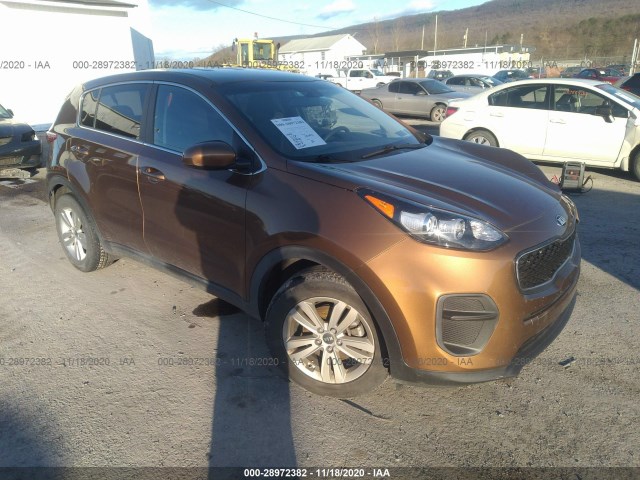 KIA SPORTAGE 2017 kndpm3ac6h7178561