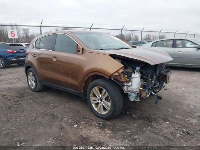 KIA SPORTAGE 2017 kndpm3ac6h7209422