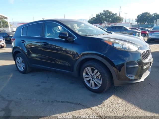 KIA SPORTAGE 2017 kndpm3ac6h7235504