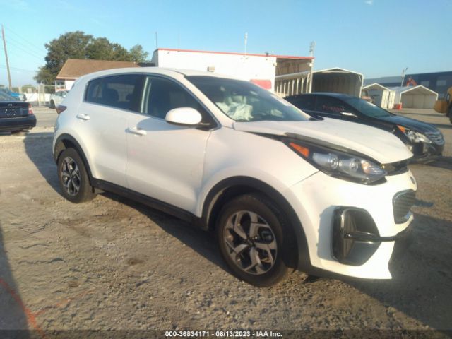 KIA SPORTAGE 2022 kndpm3ac6n7996660