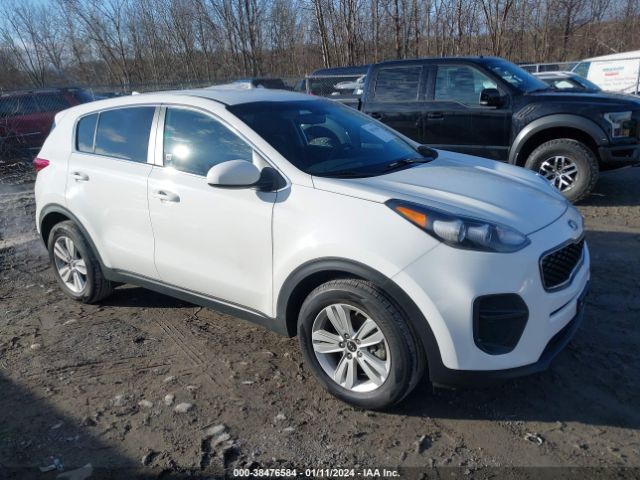 KIA SPORTAGE 2017 kndpm3ac7h7041225