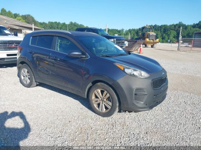 KIA SPORTAGE 2017 kndpm3ac7h7047008