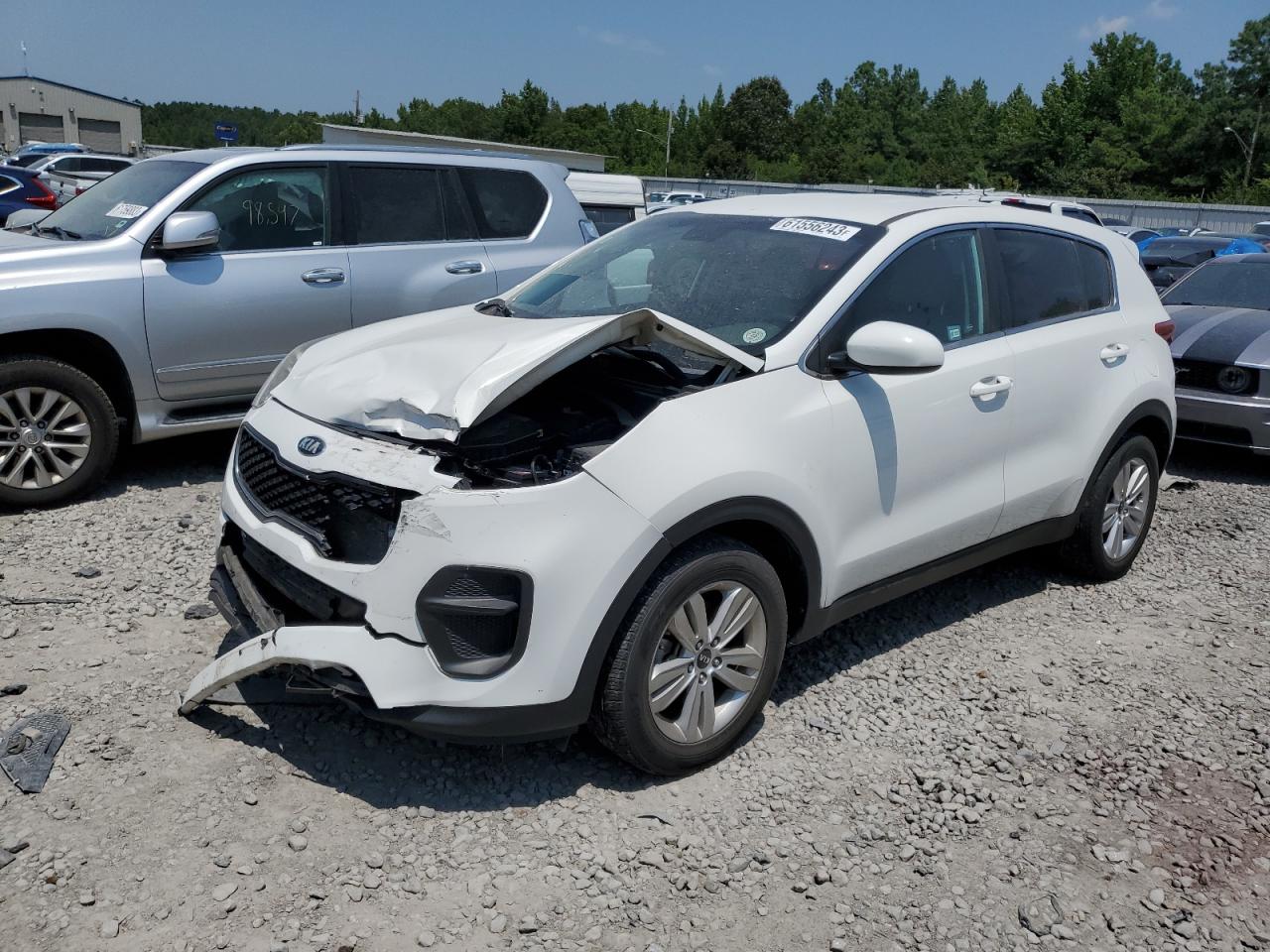 KIA SPORTAGE 2017 kndpm3ac7h7132172