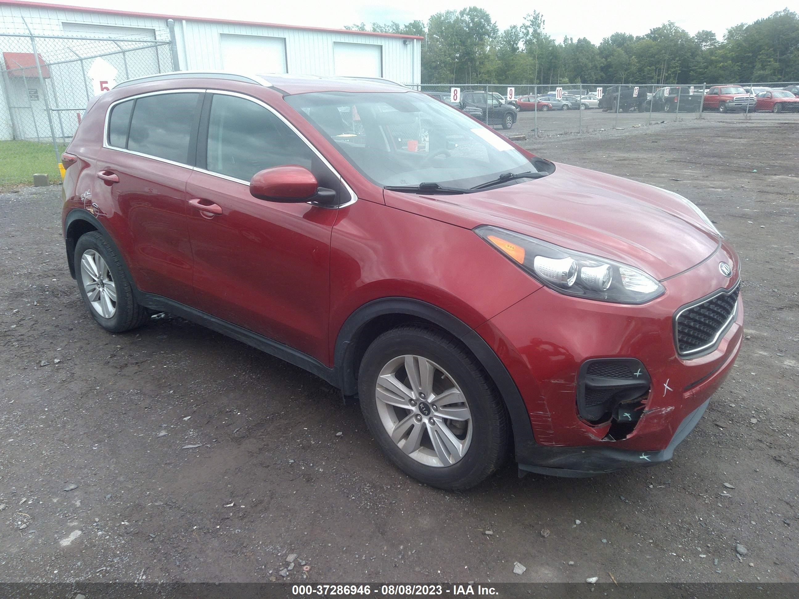 KIA SPORTAGE 2017 kndpm3ac7h7208232