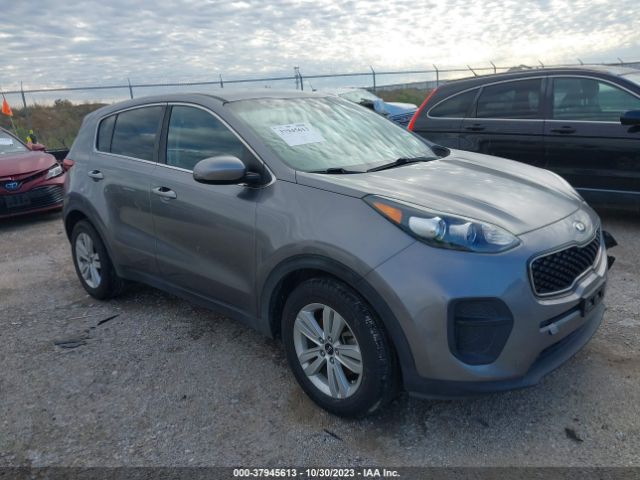 KIA SPORTAGE 2017 kndpm3ac7h7220364