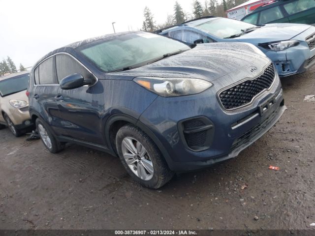 KIA SPORTAGE 2017 kndpm3ac7h7228528