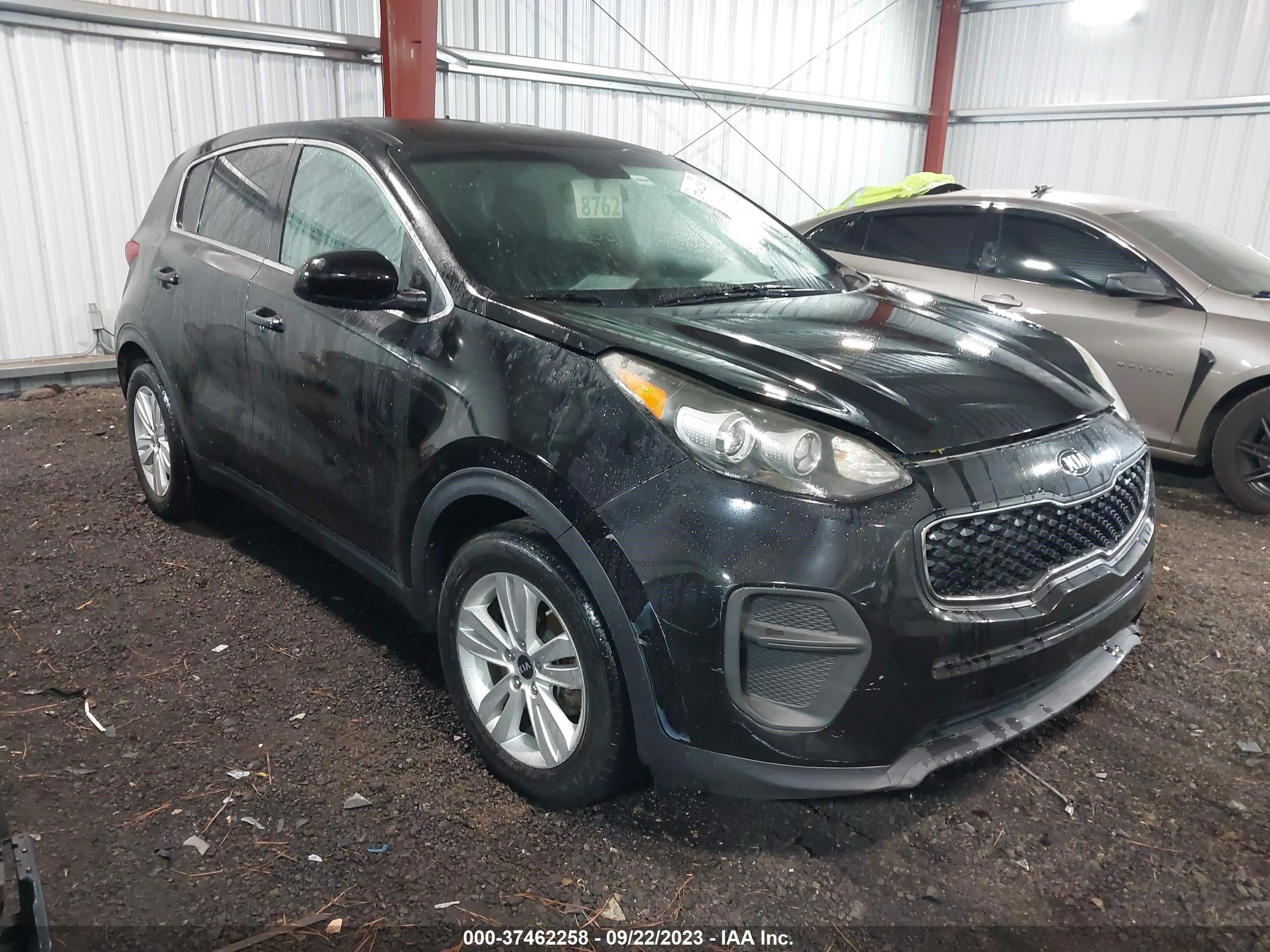 KIA SPORTAGE 2017 kndpm3ac7h7298451