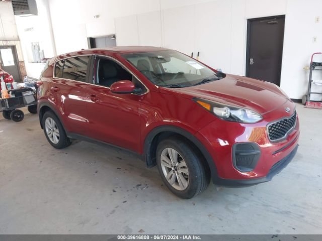 KIA SPORTAGE 2019 kndpm3ac7k7537505