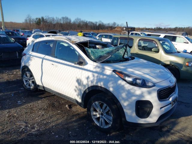 KIA SPORTAGE 2019 kndpm3ac8k7507851