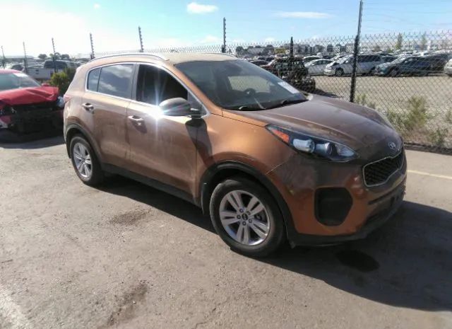 KIA SPORTAGE 2019 kndpm3ac8k7510670