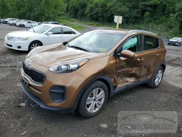 KIA SPORTAGE 2017 kndpm3ac9h7032042