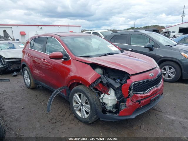 KIA SPORTAGE 2017 kndpm3ac9h7175556