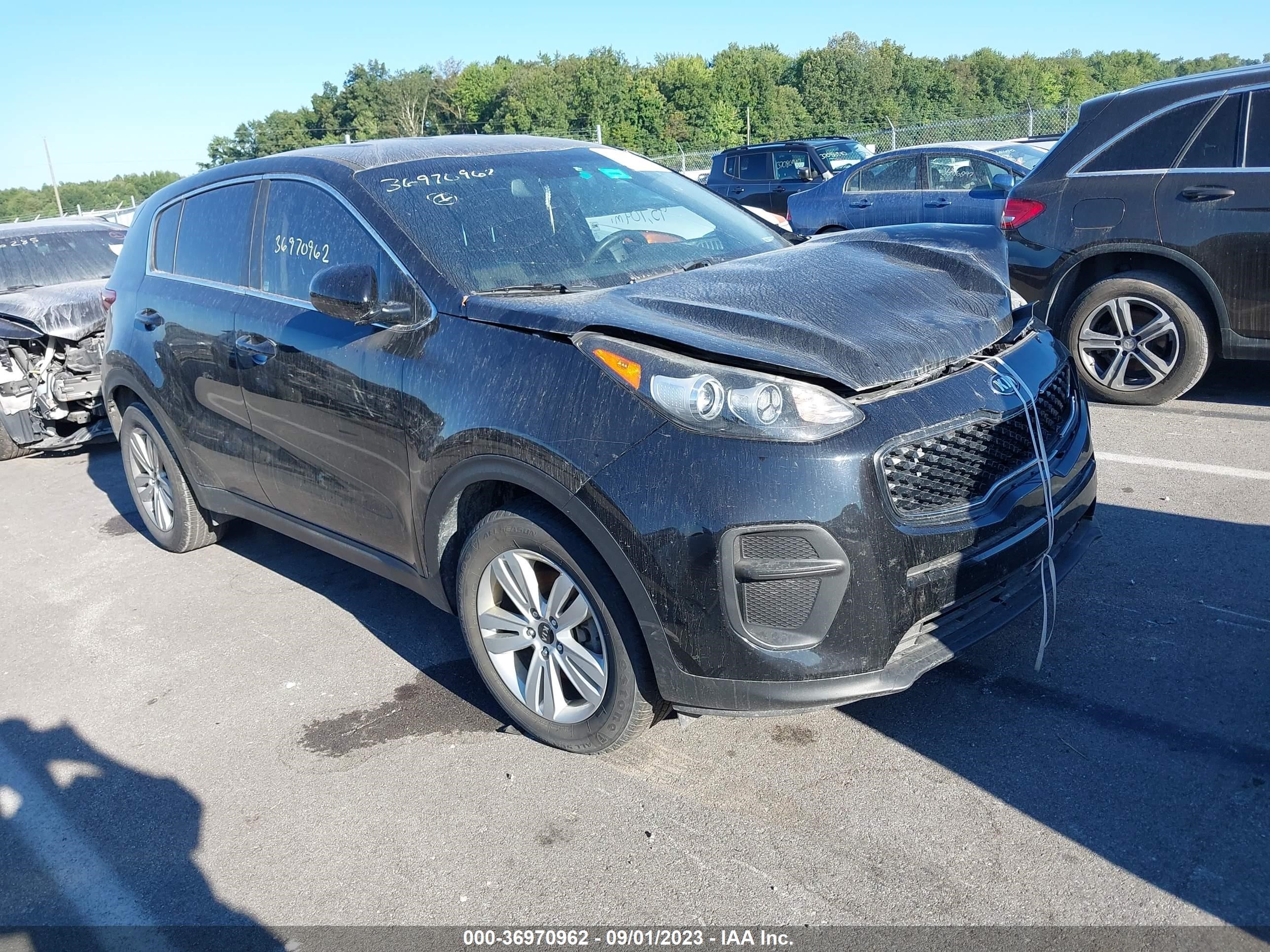 KIA SPORTAGE 2017 kndpm3ac9h7238493