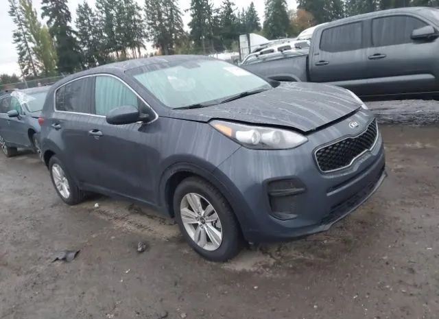 KIA NULL 2019 kndpm3ac9k7555861