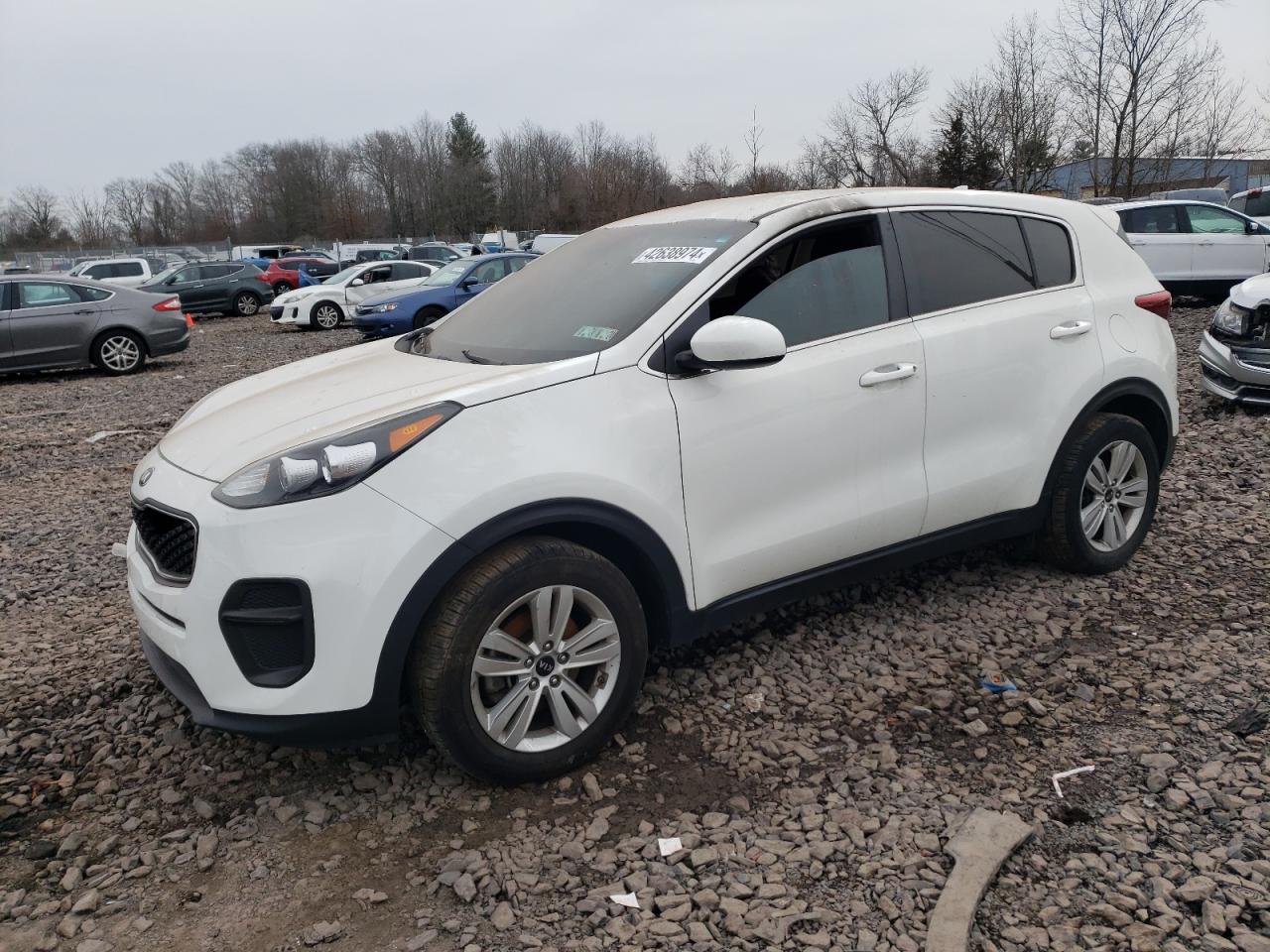 KIA SPORTAGE 2019 kndpm3acxk7498988