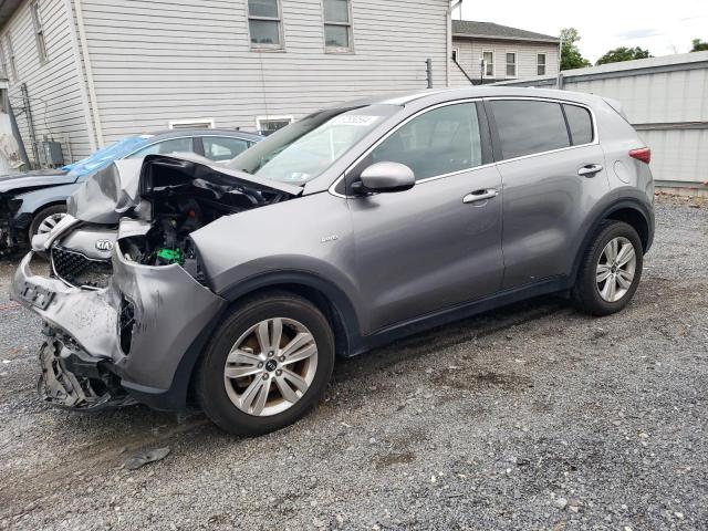 KIA SPORTAGE 2017 kndpmcac1h7143426