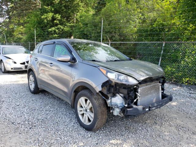 KIA SPORTAGE 2019 kndpmcac1k7559936