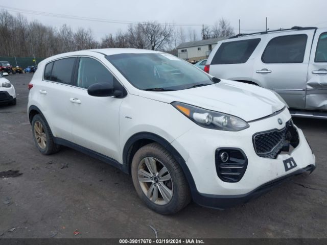 KIA SPORTAGE 2017 kndpmcac2h7103520