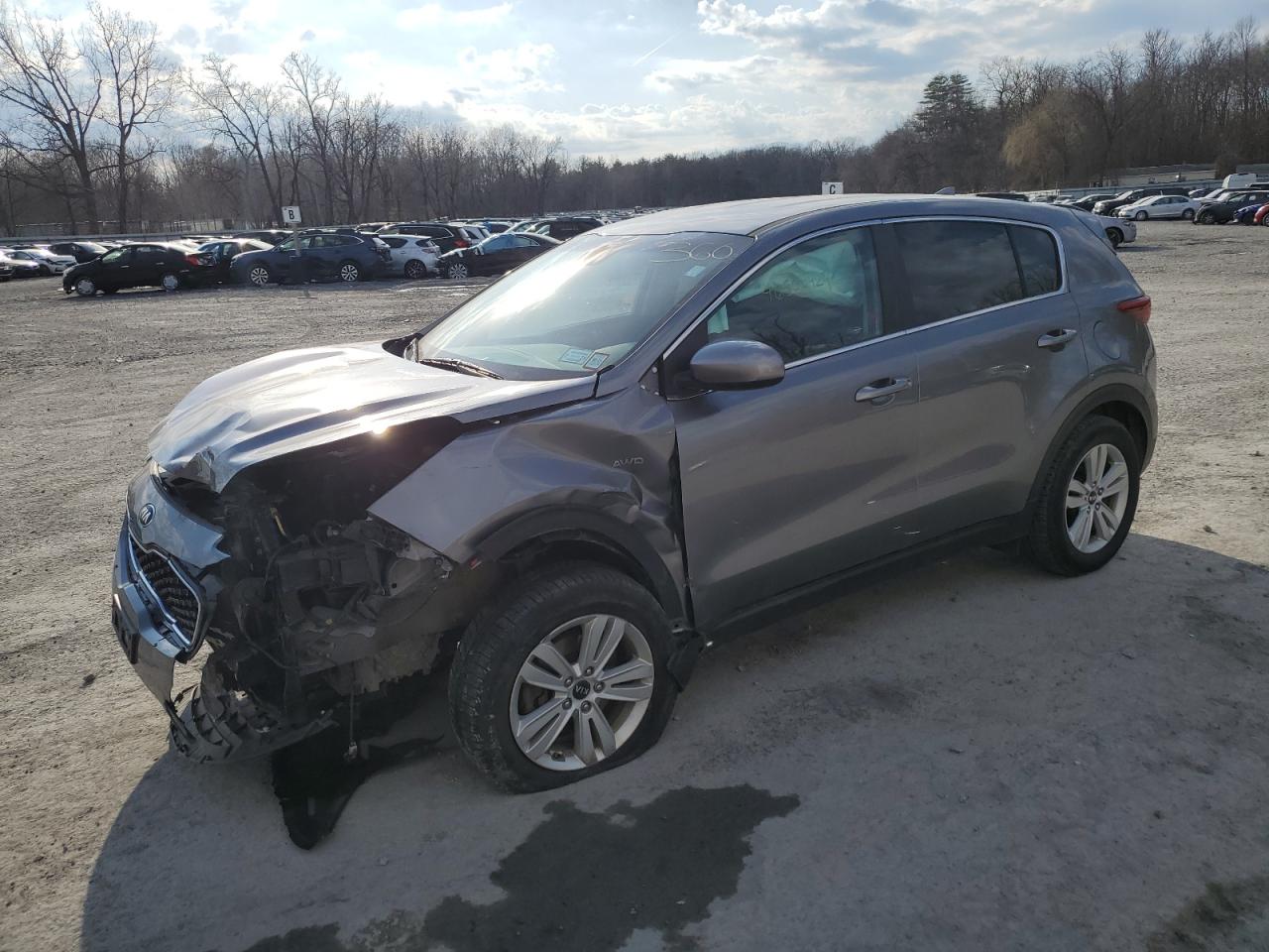 KIA SPORTAGE 2018 kndpmcac2j7304467