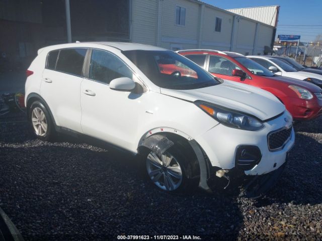 KIA SPORTAGE 2019 kndpmcac2k7490982