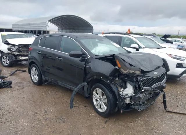 KIA SPORTAGE 2019 kndpmcac2k7598941