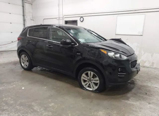 KIA SPORTAGE 2019 kndpmcac2k7613356