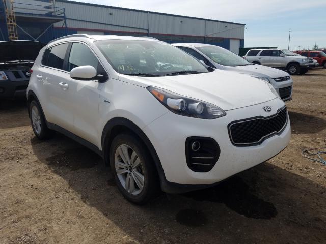 KIA SPORTAGE L 2017 kndpmcac3h7083682