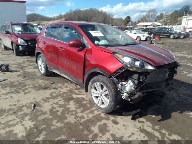 KIA SPORTAGE 2017 kndpmcac3h7173253