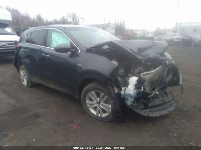 KIA SPORTAGE 2017 kndpmcac3h7239266