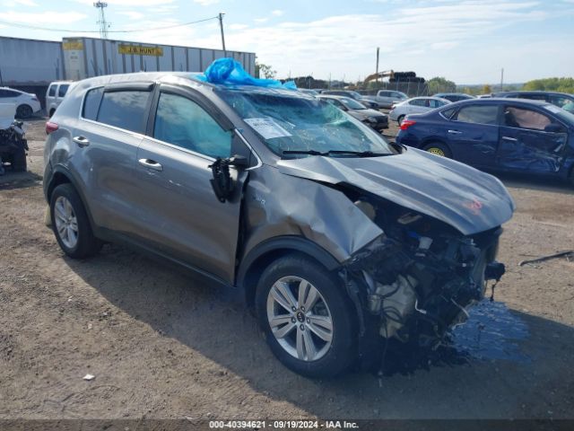 KIA SPORTAGE 2017 kndpmcac3h7247433