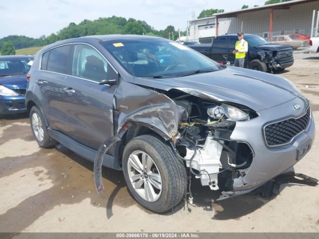 KIA SPORTAGE 2017 kndpmcac3h7256200