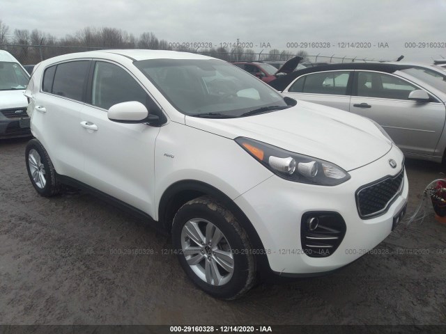 KIA SPORTAGE 2019 kndpmcac3k7599337