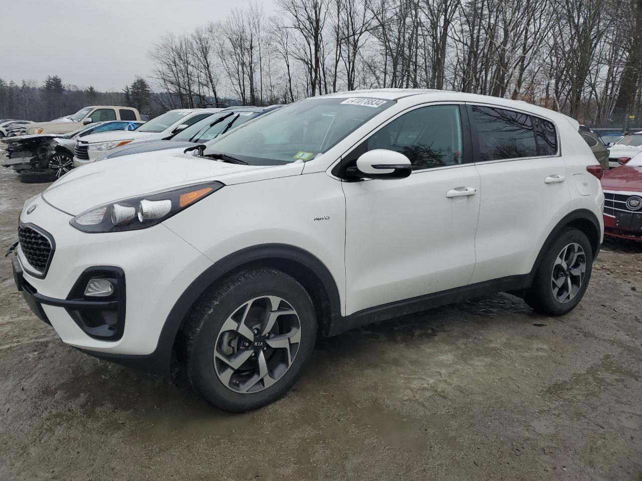 KIA SPORTAGE 2020 kndpmcac3l7761095