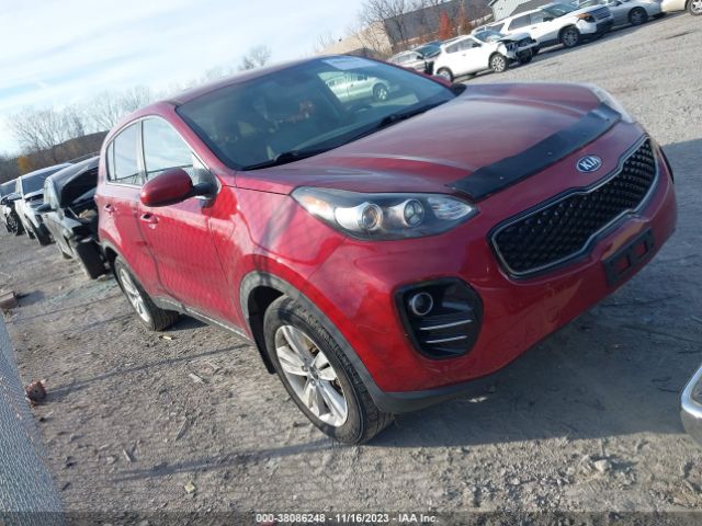 KIA SPORTAGE 2017 kndpmcac4h7220418