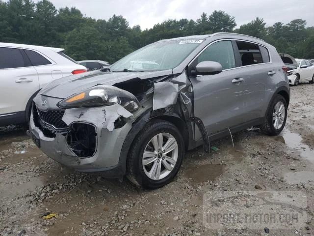 KIA SPORTAGE 2019 kndpmcac4k7573121