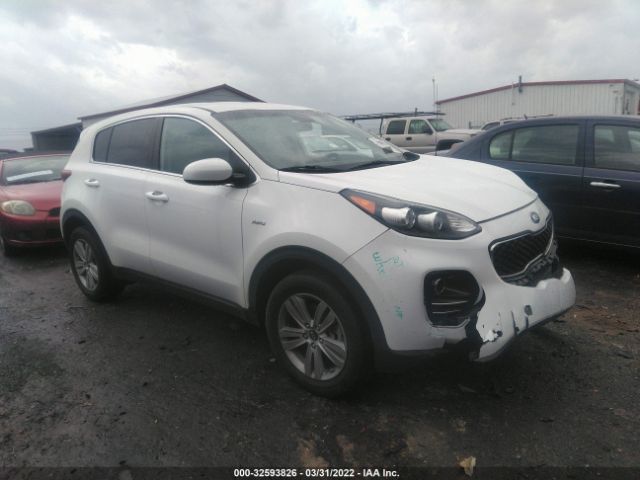 KIA SPORTAGE 2017 kndpmcac5h7034189