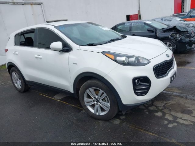 KIA SPORTAGE 2017 kndpmcac5h7047962