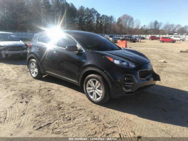 KIA SPORTAGE 2017 kndpmcac5h7232478