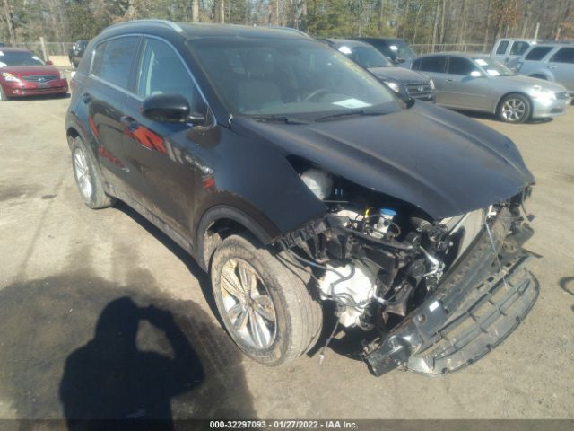 KIA SPORTAGE 2017 kndpmcac6h7033522