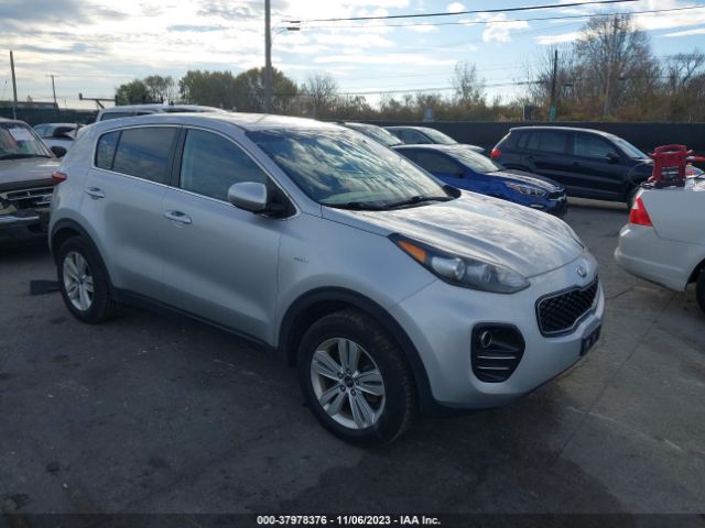 KIA SPORTAGE 2017 kndpmcac6h7117291