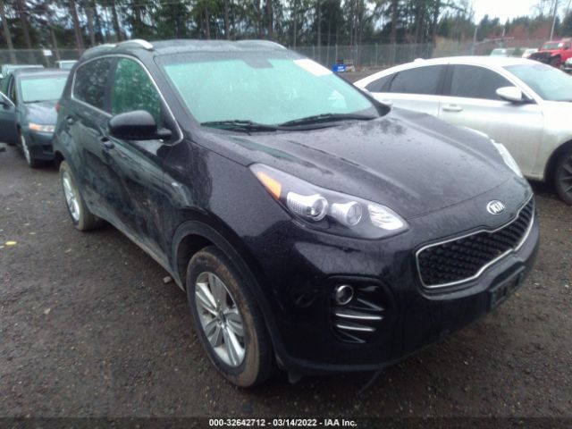 KIA SPORTAGE 2017 kndpmcac6h7117405