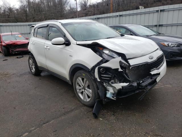 KIA SPORTAGE L 2017 kndpmcac6h7122166