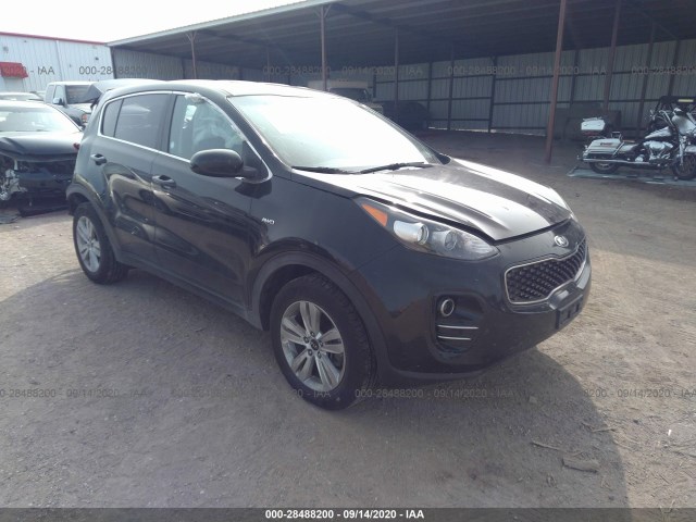 KIA SPORTAGE 2017 kndpmcac6h7156642