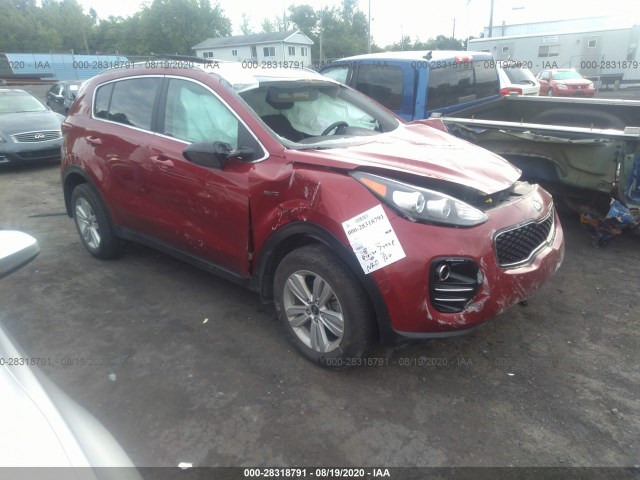 KIA SPORTAGE 2017 kndpmcac6h7177880