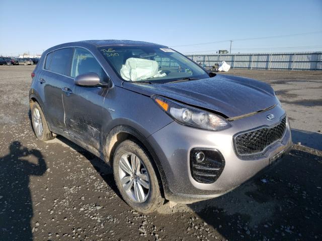 KIA SPORTAGE L 2017 kndpmcac6h7216161