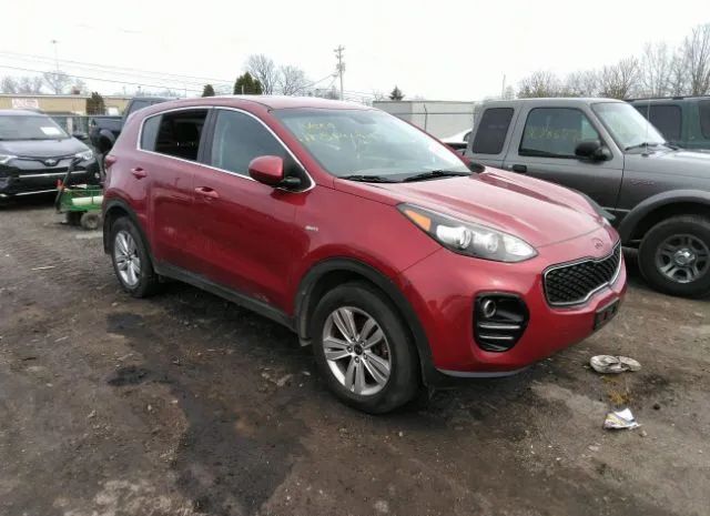 KIA SPORTAGE 2017 kndpmcac6h7228309